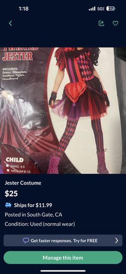 Jester Costume 