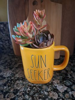 Rae dunn Coffee cup