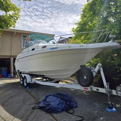 1995 Searay 250 Sundancer