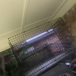 🐕🐕❤️Juala Para Pero Grande Buena Condiciones 