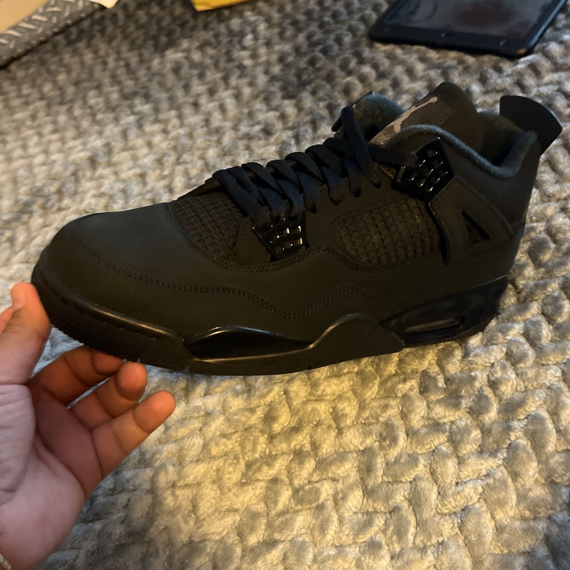 Black Cat 4 Size 13 