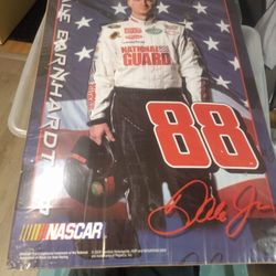 NEW Vintage Dale Earnhardt Jr Poster 30x20