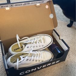 White Converse Never Worn  And Shoe Protection Spray