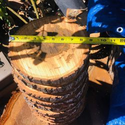 Wood Slices