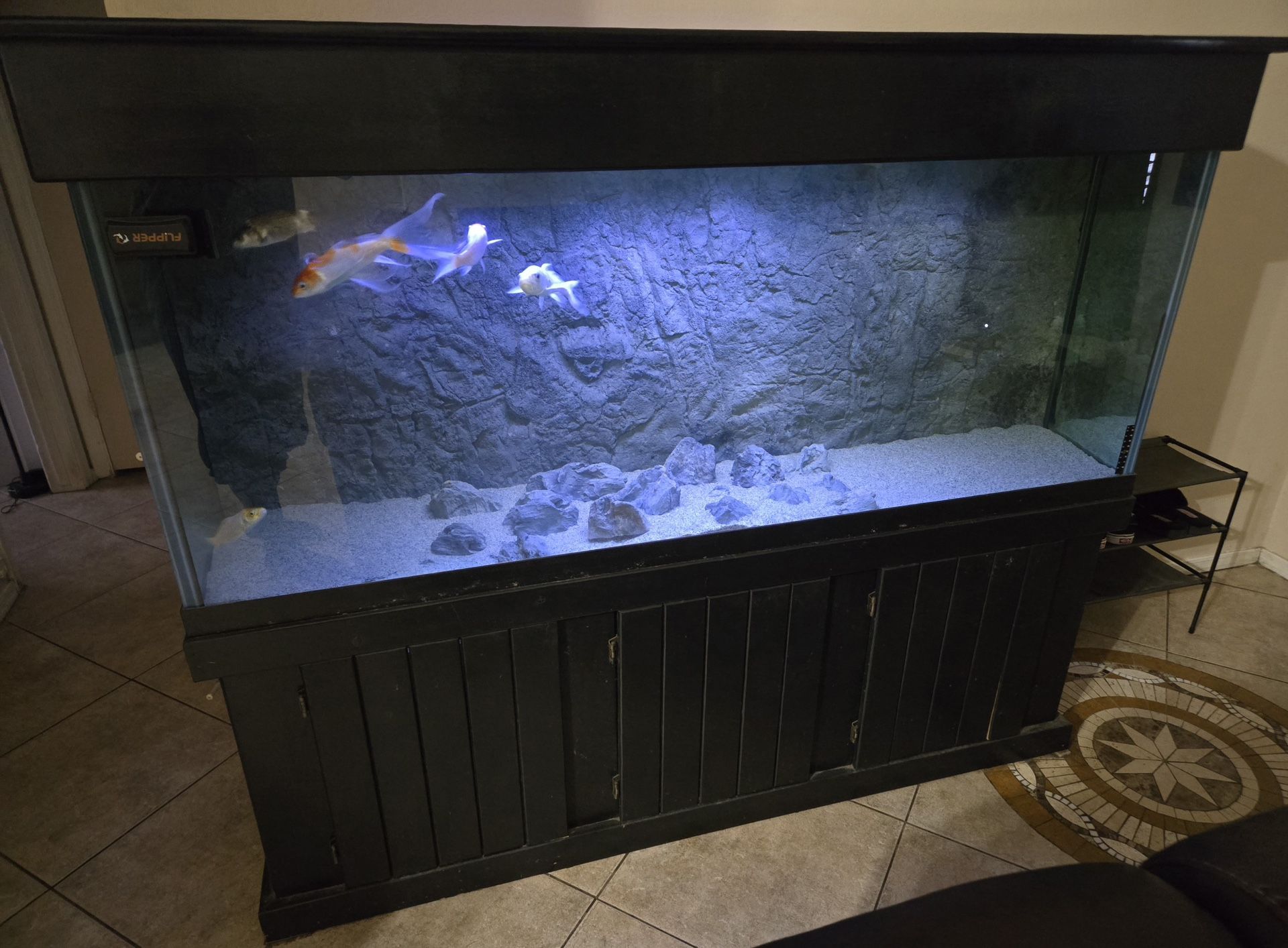 150 Gallon Aquarium Fish Tank