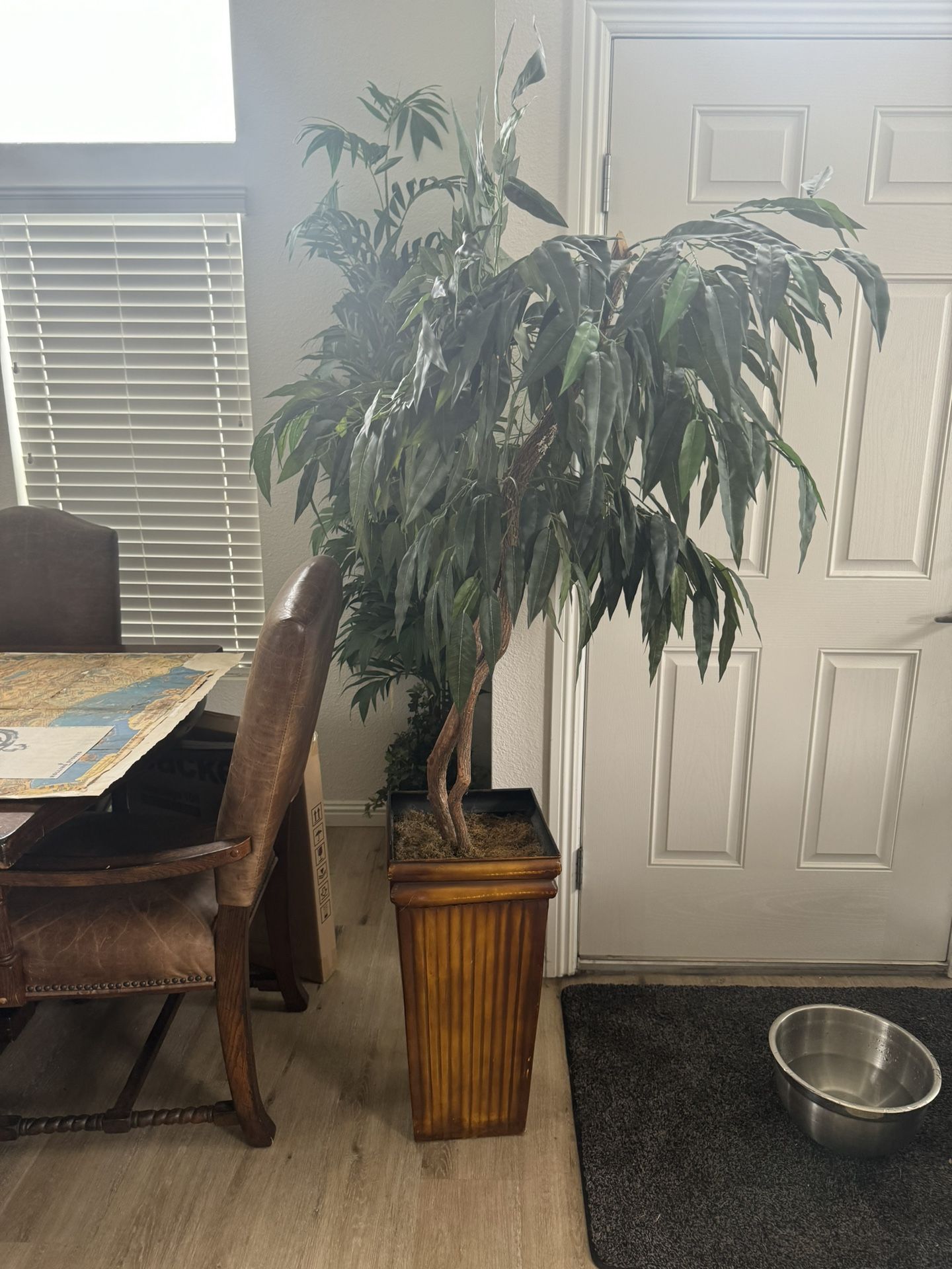 Fake Plant