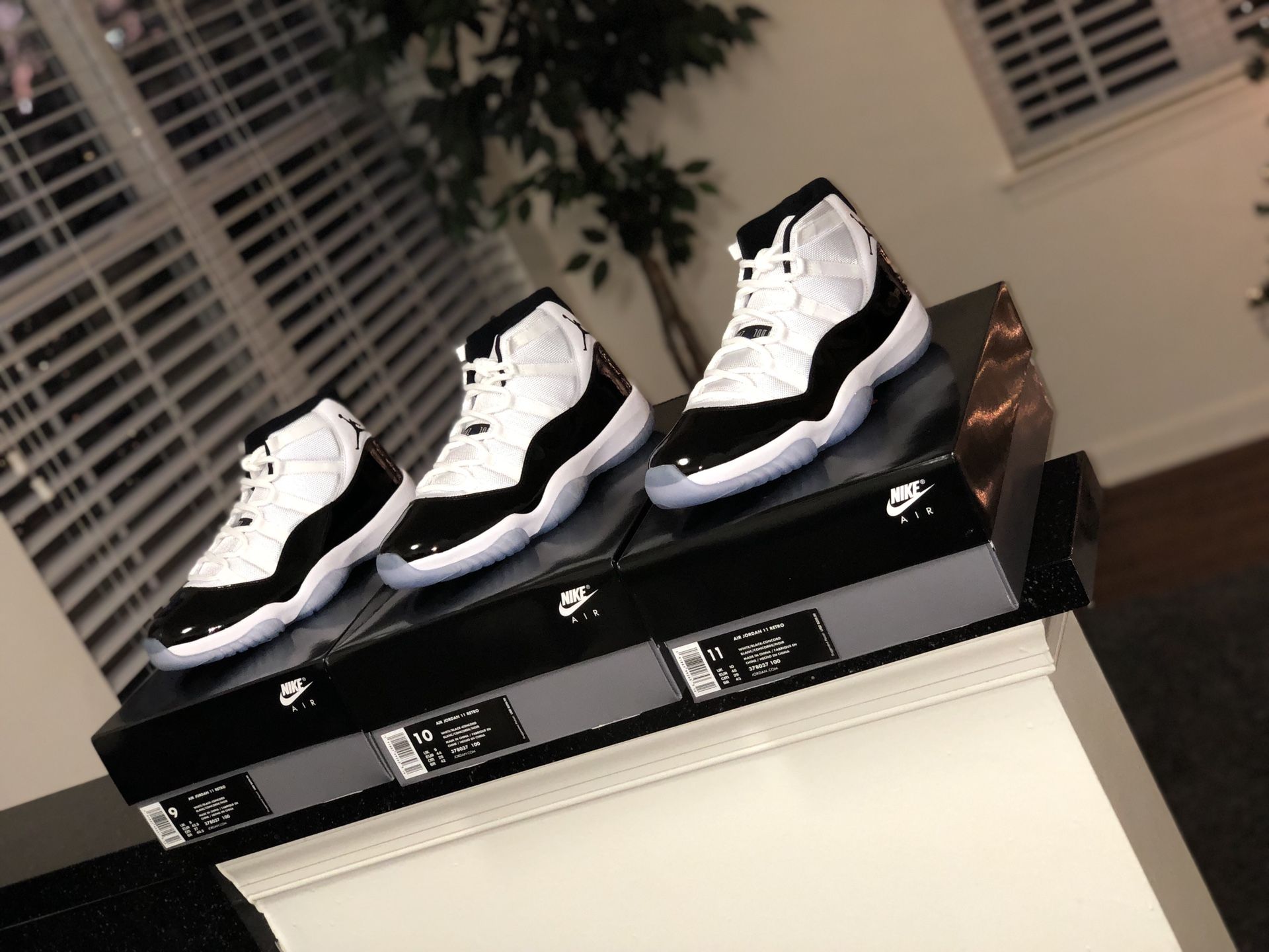 JORDAN CONCORD 11’s