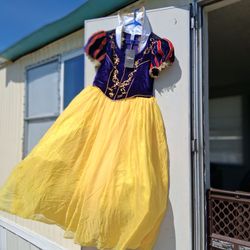 Plus Size Snow White Dress (1X)