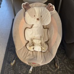 Baby Bouncer