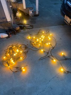 X2 Feit 48 “ string light