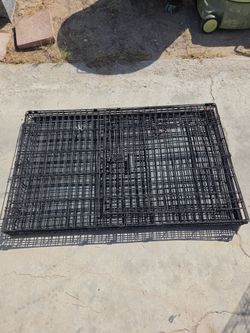 Very Big Dog Kennel Excellent Condition