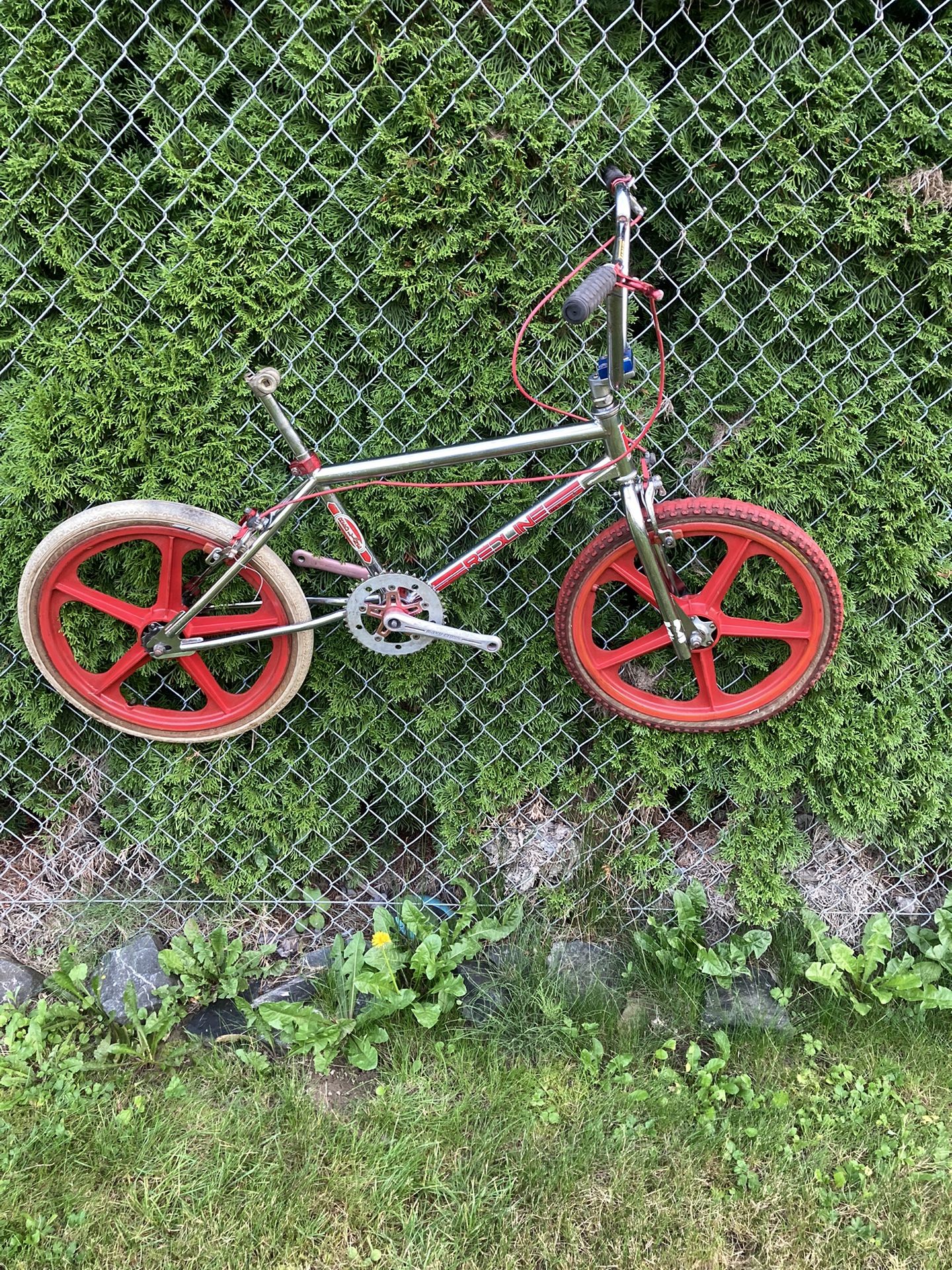 1981 Redline MX 2 Retro