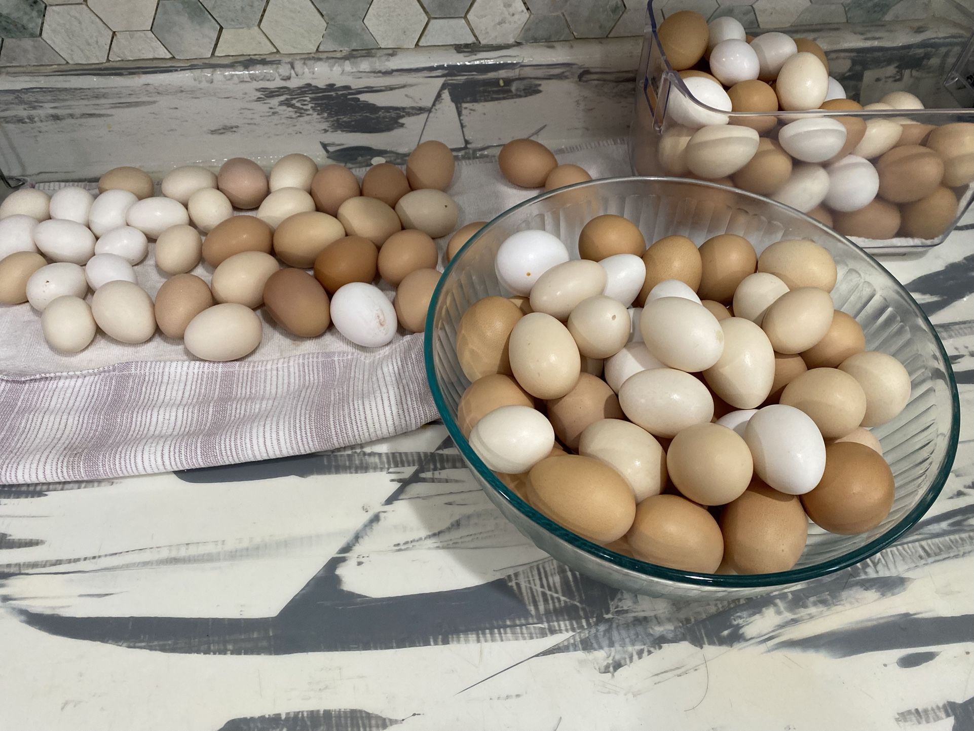 Organic Eggs For Sell 🥚