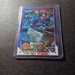2023 Purple Rainbow Speckle