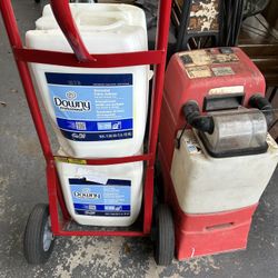 Downey, Professional 