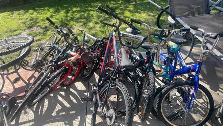 Lots of bikes