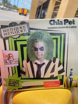 Beetlejuice chia pet