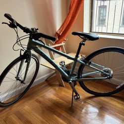 Trek alpha 7.3 fx 2025