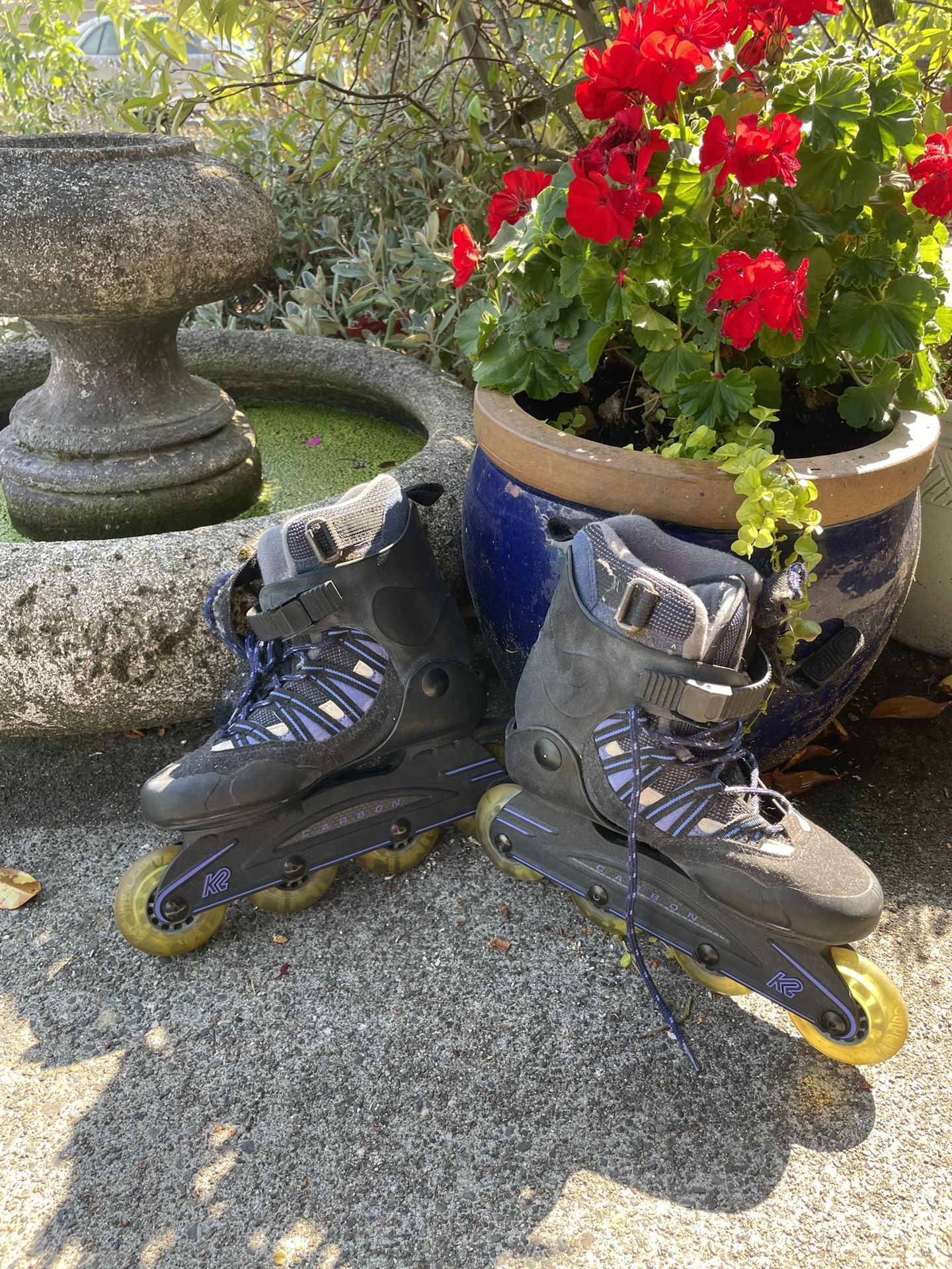 Roller Blades
