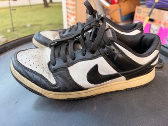 Nike Dunks size 9.5