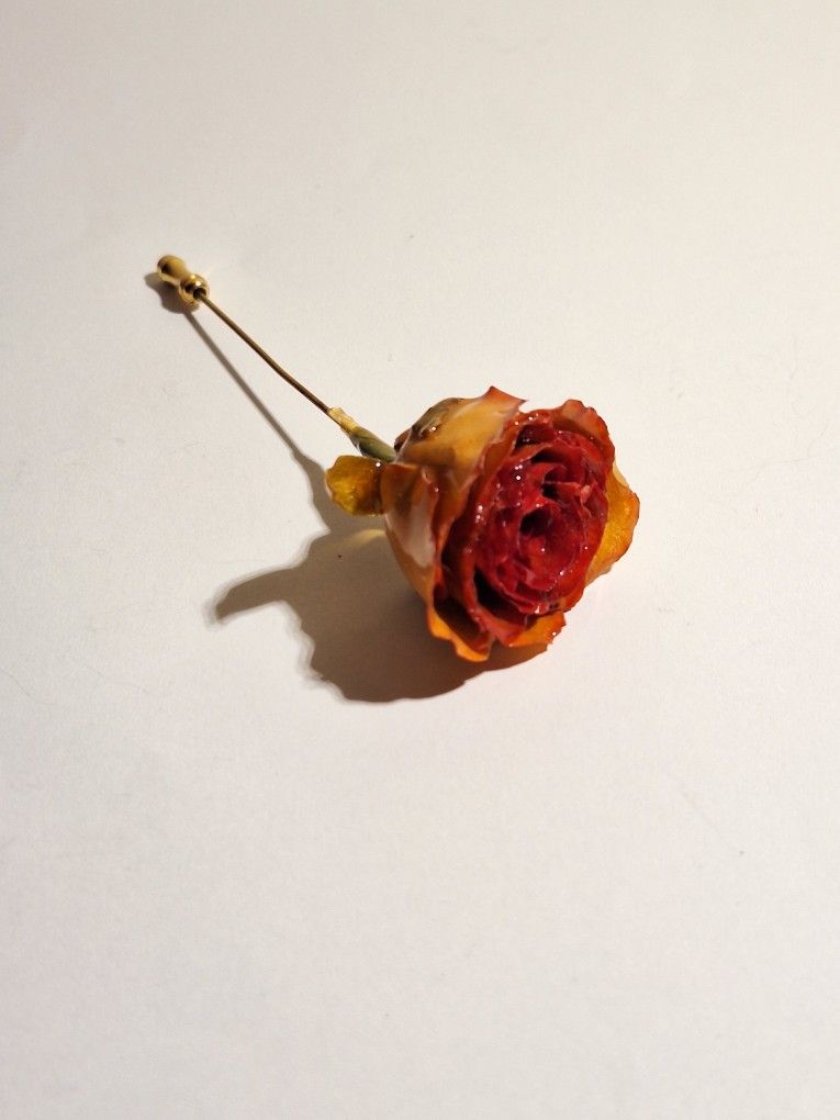 Preserved Real Rose Stick Pin Brooch