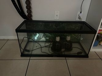 20 gallon tank with lamps