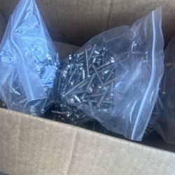 New Stainless Steel BTN Tamper Screw