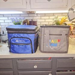 2  SOFT PORTABLE COOLER BAGS $5 EACH