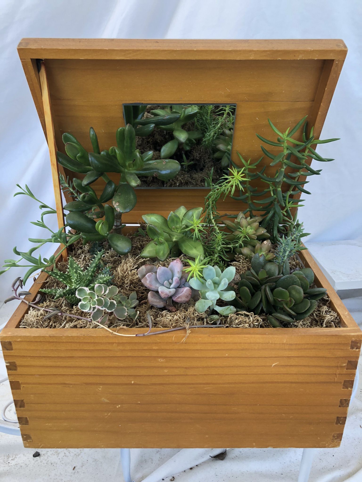 Kevin’s Creations Wooden Boxes WAS $30 NOW $25 With Live Plants Land Park Area Cash App Zelle And Cash Accepted