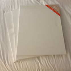 Three Stretched Canvas 