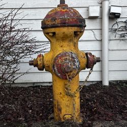 Fire Hydrant 