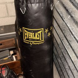 Everlast Punching Bag
