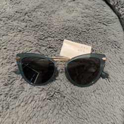 a new day womens sunglasses