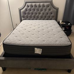 Bed And Mattress , Box Springs  Queen Size 