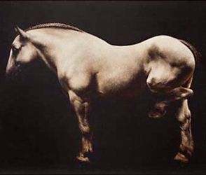“22 Hands” print, by James McLaughlin Way OBO (p/u only)