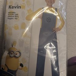 Minion Costume