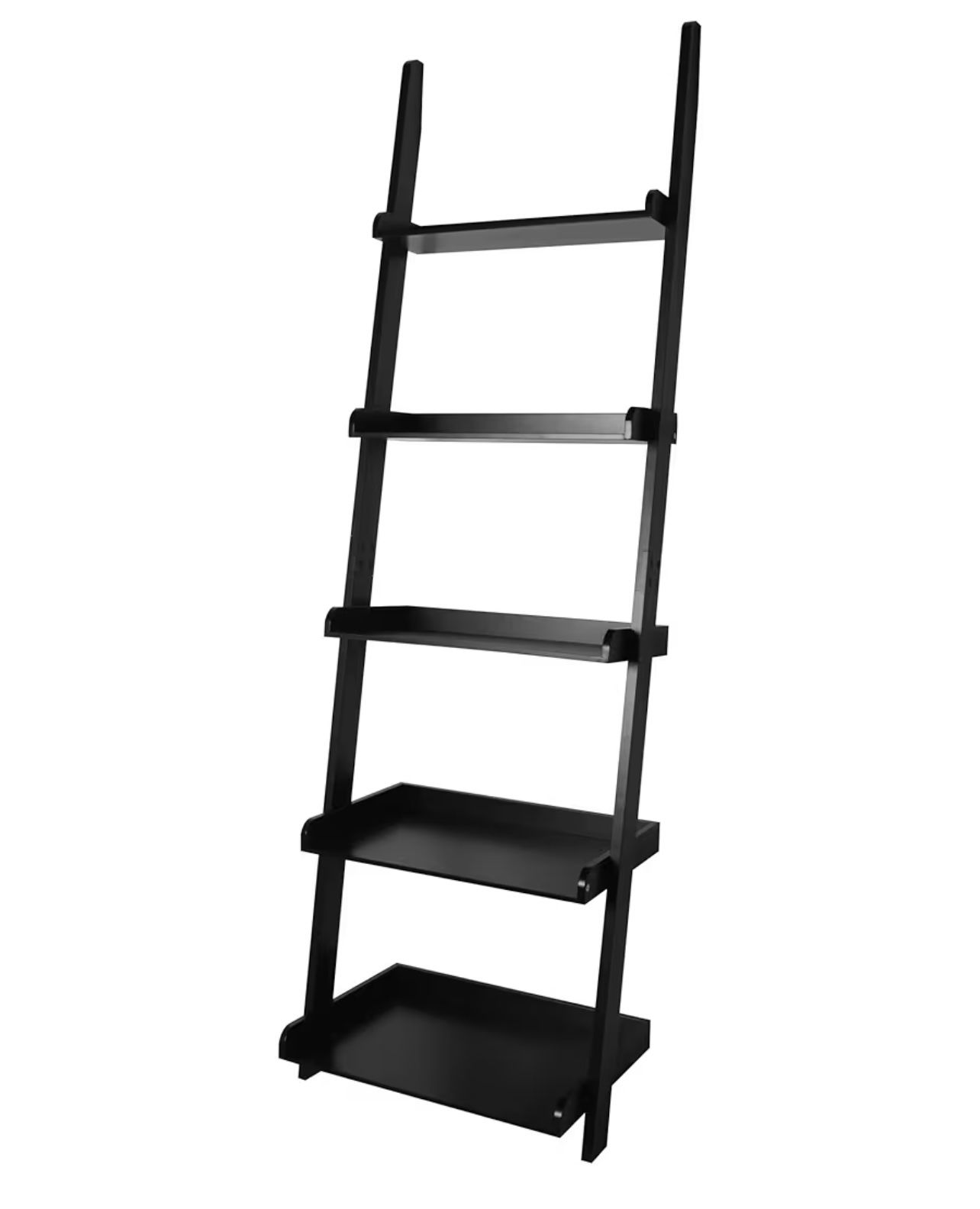 Black Leaning Book Shelves (2)