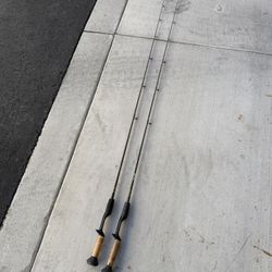2 Fenwick HMG Casting Rods