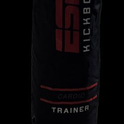 Punching Bag