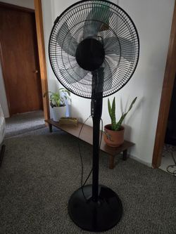 Mainstays 18" Oscillating Pedestal Fan – Fixed Height 54". Almost like new and works great. 