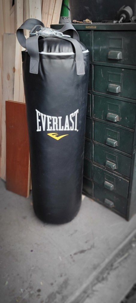 Everlast Punching Bag - 70 Lbs