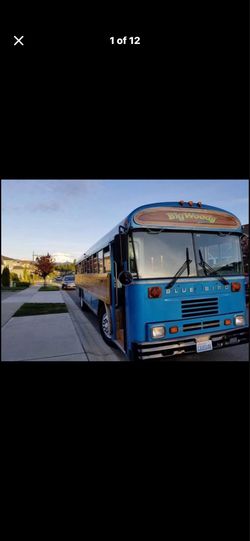 1991 Blue Bird Bus