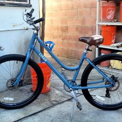 Linus Cesta 7 Womens Bike.