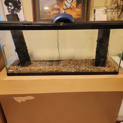 Fish Tank With Stand.