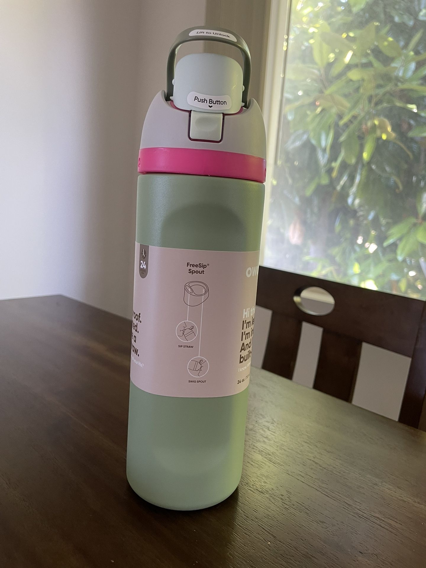 Owala 24 Oz. Neo Sage