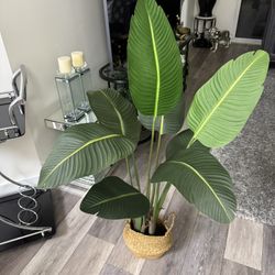 Pretty Artificial Plant 4 Ft Tall ! Brand New 