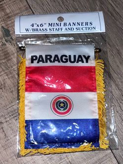 Paraguay mini car banner