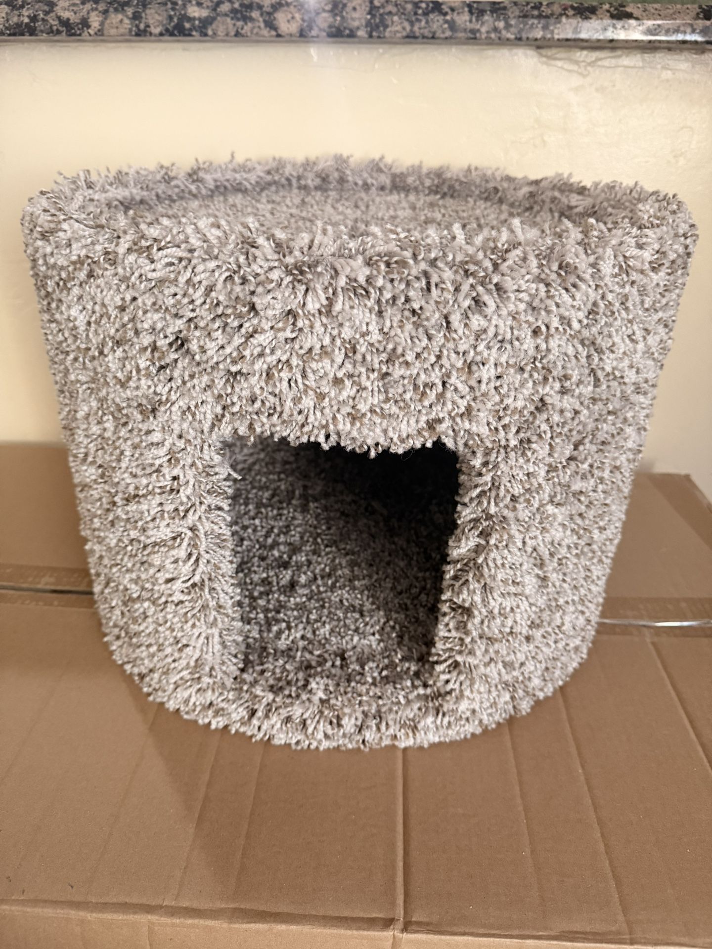 Cat Condo