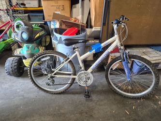 Roadmaster Mtn Sport Bike +extra tube