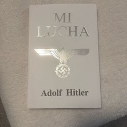 Mi Lucha 